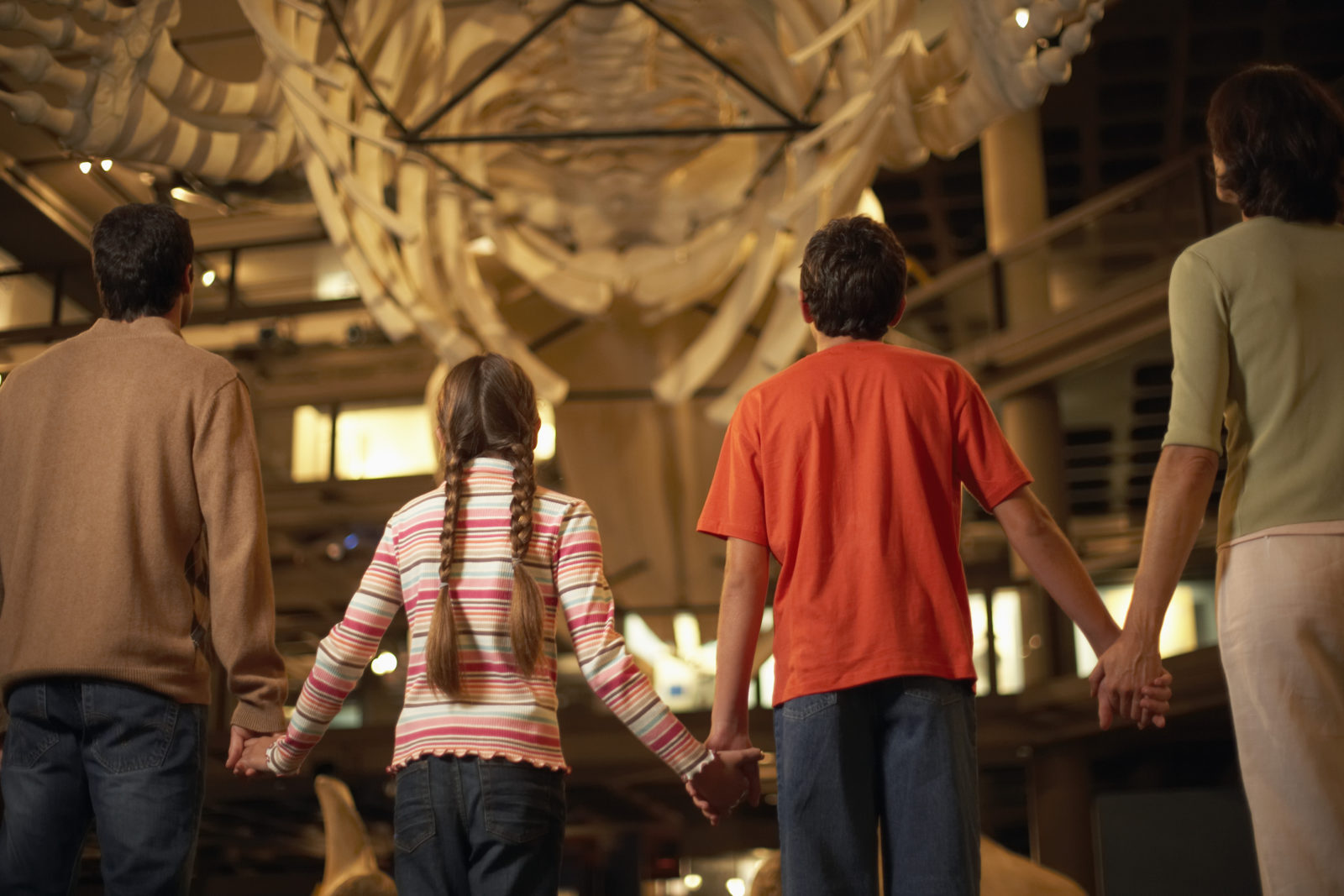 The children went to the museums. Family in the вштфыфгк Museum. Счастливая семья в музее. Посетитель в шортах в музее. Семья в музее картинки.